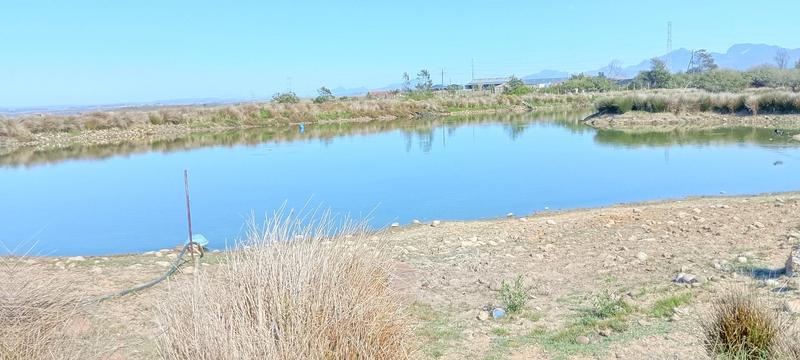 0 Bedroom Property for Sale in Groot Brakrivier Rural Western Cape